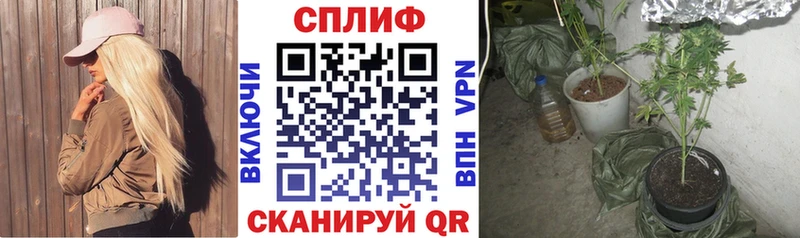 Купить наркотик аптеки Дзержинск А ПВП МЕФ ГАШ Cocaine