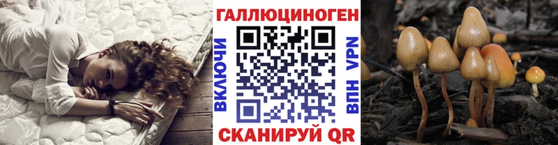 Галлюциногенные грибы прущие грибы  Дзержинск 